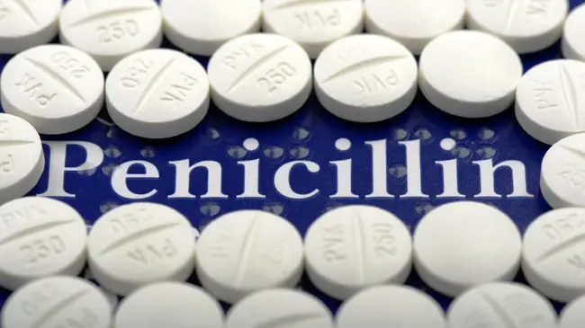 Penicillin : 青霉素