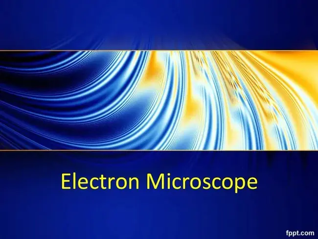 Electron Microscope : 电子显微镜