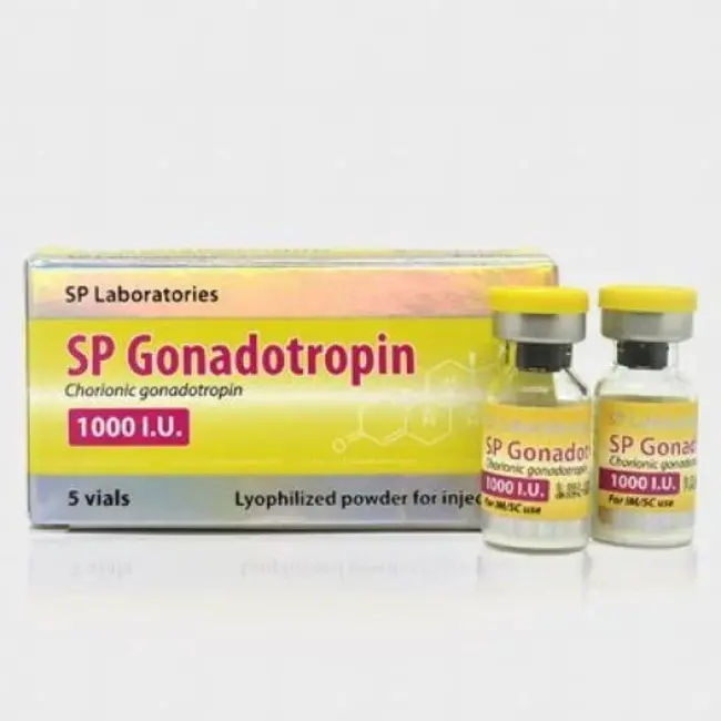 Gonadotropin-releasing Hormone : 促性腺激素释放激素