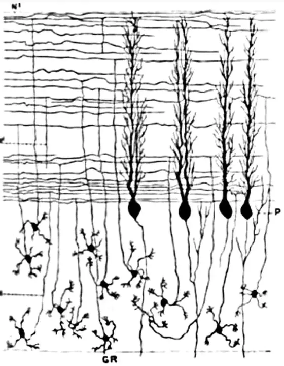 Granule For Reconstitution : 重组颗粒