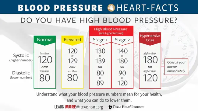 Heart rate : 心率