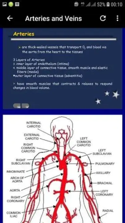 Peripheral Vascular Disease : 周围血管疾病