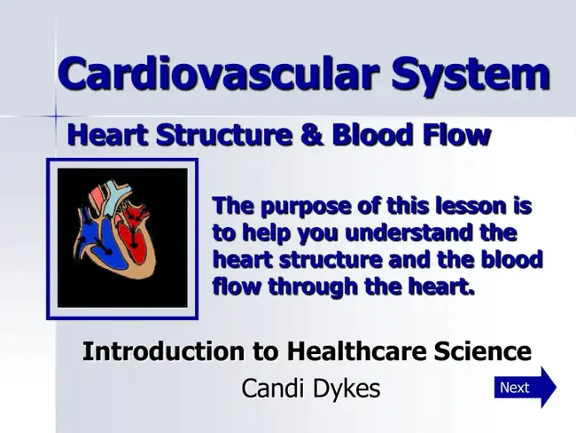 Right Atrium : 右心房