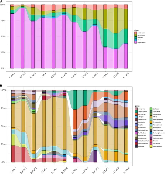 Relative Biological Effects : 相对生物学效应