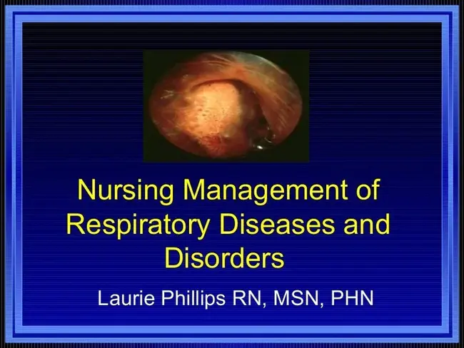 Respiratory Disease : 呼吸系统疾病