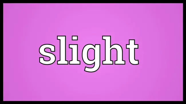 Slight : 轻微的