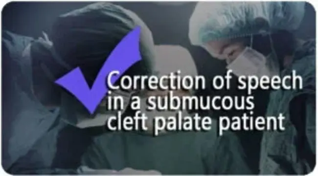 Submucous Resection : 粘膜下切除术