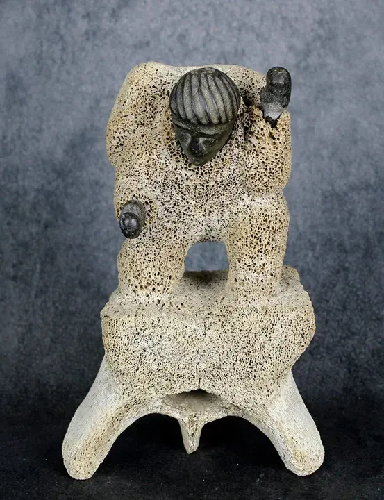 2nd Thoracic Vertebrae : 第二胸椎