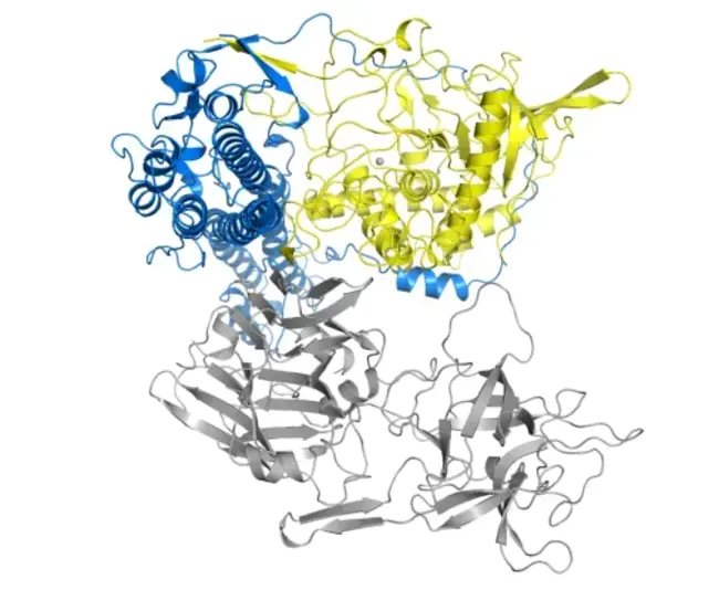 Tetanus Anti-Toxin : 破伤风毒素