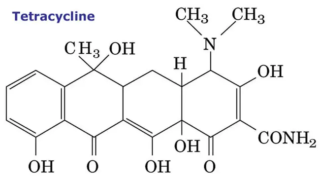 Tetracycline : 四环素