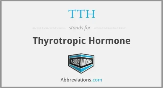 Thyrotropic Hormone : 促甲状腺激素