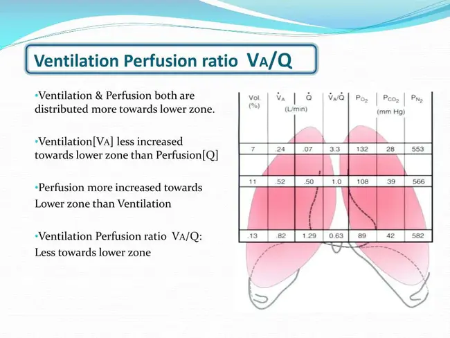 Ventilation/Perfusion : 通气/灌注