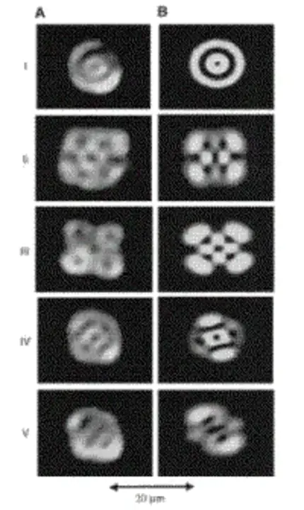 Multi-Longitudinal Mode : 多纵模