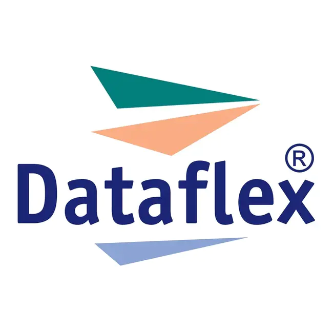 DataFlex : 数据文件