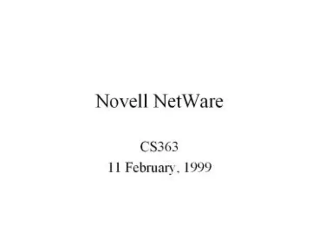 Novell NetWare Disk Drivers for NetWare Peripheral Architecture : 用于Netware外围架构的Novell Netware磁盘驱动程序