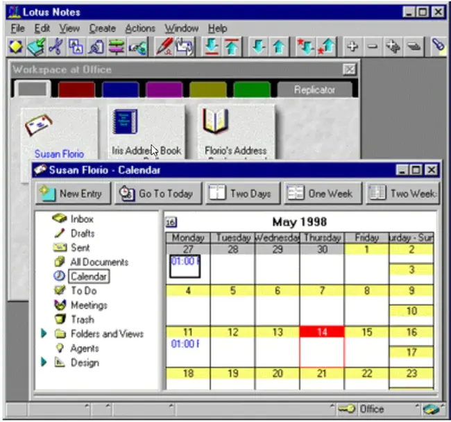 Lotus Notes Data file : Lotus Notes 数据文件