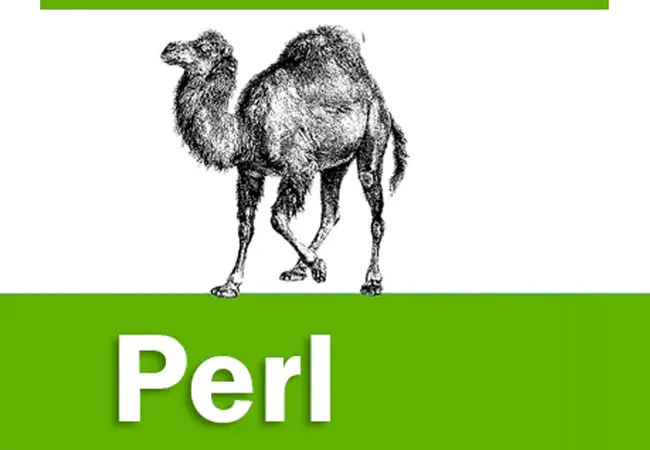 Perl : 珀尔