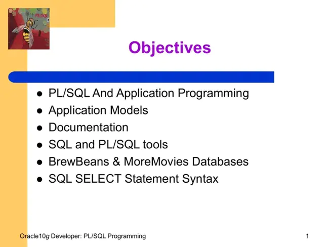 Oracle Report definition : Oracle报告定义