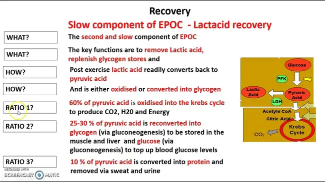 EPOC Compiled Resource Header : EPOC编译的资源头