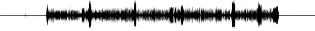 WAVEform audio format Sound : 波形音频格式声音