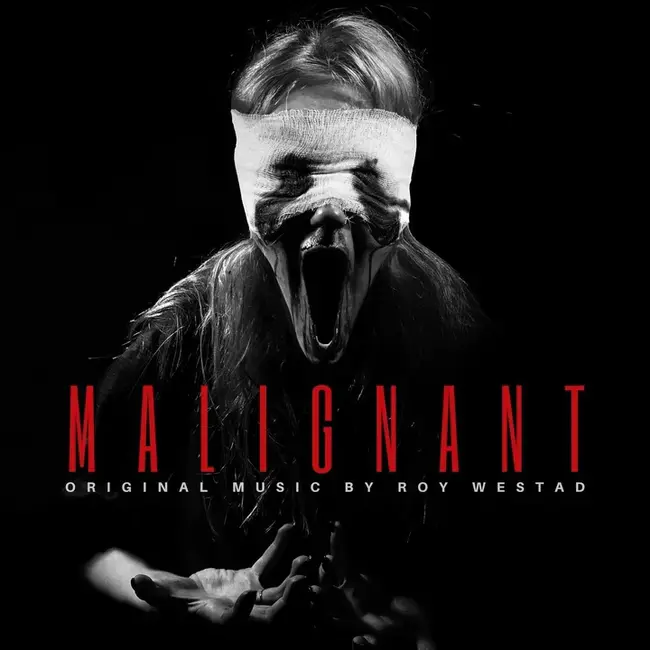 Malignant : 恶性的