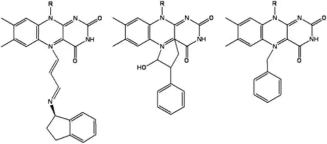 Monoamine Oxidase Inhibitor : 单胺氧化酶抑制剂