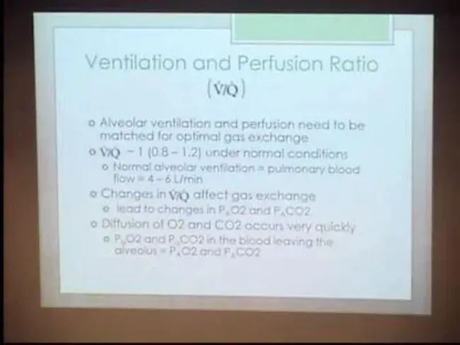 Maximal Expiratory Flow Rate : 最大呼气流速