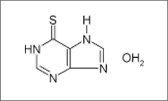 6-MercaptPurine : 6-巯基嘌呤