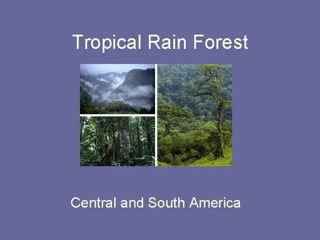 Atmosphere and Land Surface Processes : 大气和地表过程