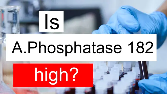 Alkaline Phosphatase Activity : 碱性磷酸酶活性
