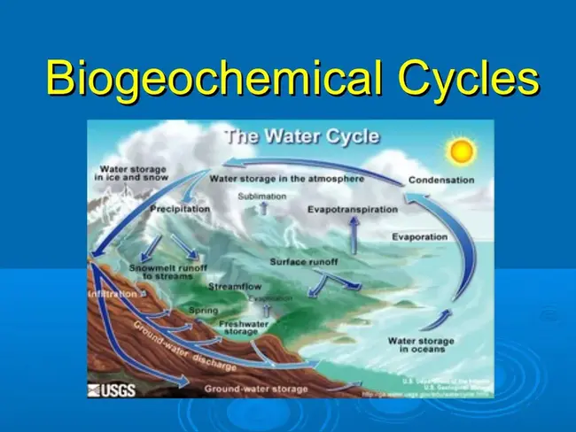 Biogeochemical Ocean Flux Study : 生物地球化学海洋通量研究