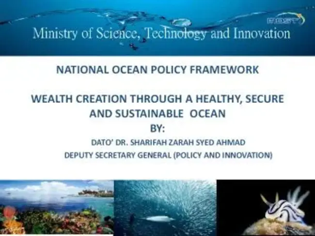 National Ocean Policy Study : 国家海洋政策研究