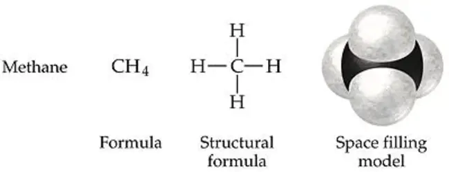 Ocean Chemistry Division : 海洋化学司