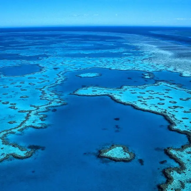 Oceanography and Marine Assessment : 海洋学与海洋评估