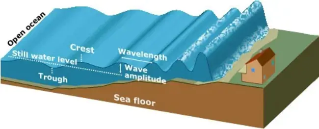 Ocean Thermal Energy Conversion : 海洋热能转换