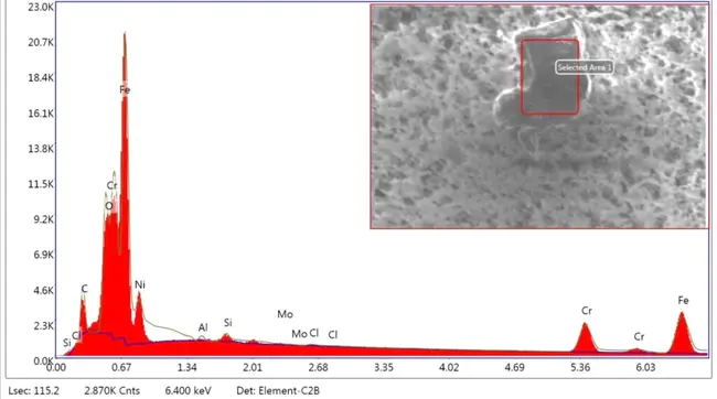 Particulate Organic Matter : 颗粒有机物