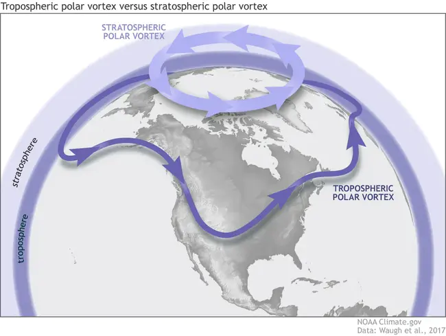 Stratospheric Photochemistry, Aerosols, and Dynamics Expedition : 平流层光化学、气溶胶和动力学考察