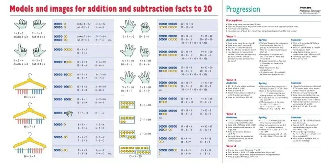 Structured Assessment Activity : 结构化评估活动