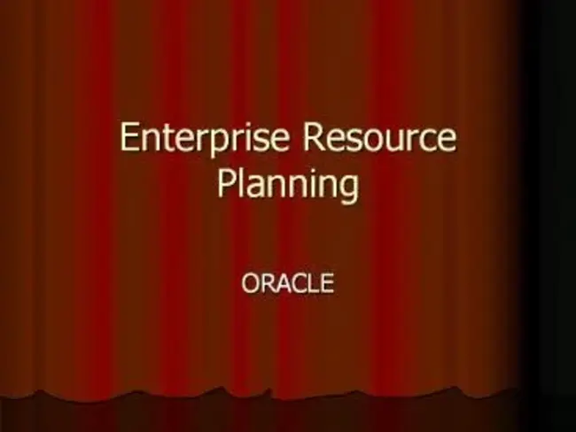 Enterprise Resource Planning : 企业资源规划