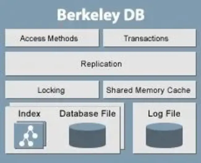 Berkeley Software Distribution : 伯克利软件发行