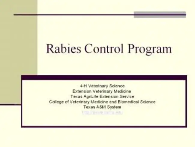 Program Control Program : 程序控制程序