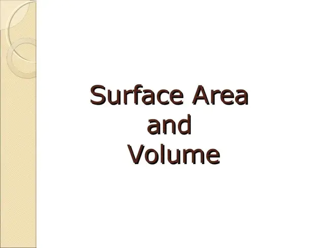 Surface Movement Guidance and Control : 地面运动制导与控制