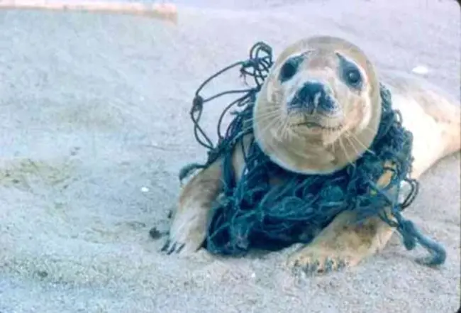 Marine Pollution Retrieval System : 海洋污染恢复系统