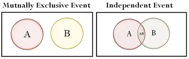 Independent Inspection Agency : 独立检验机构