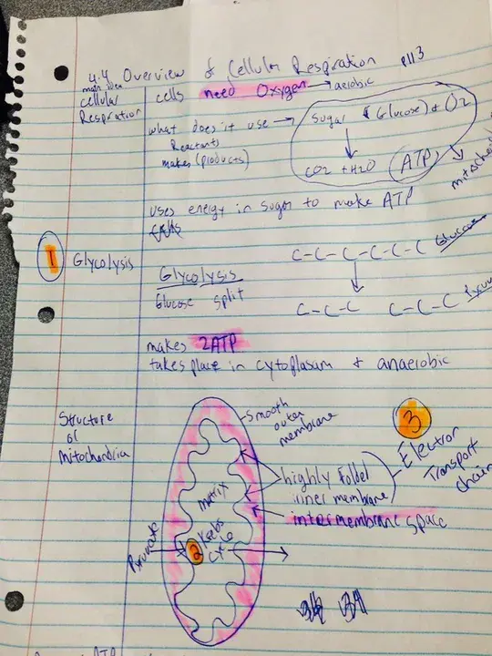 Low Energy Ion and Electron Instrument : 低能离子电子仪器