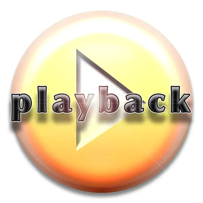 Playback : 回放