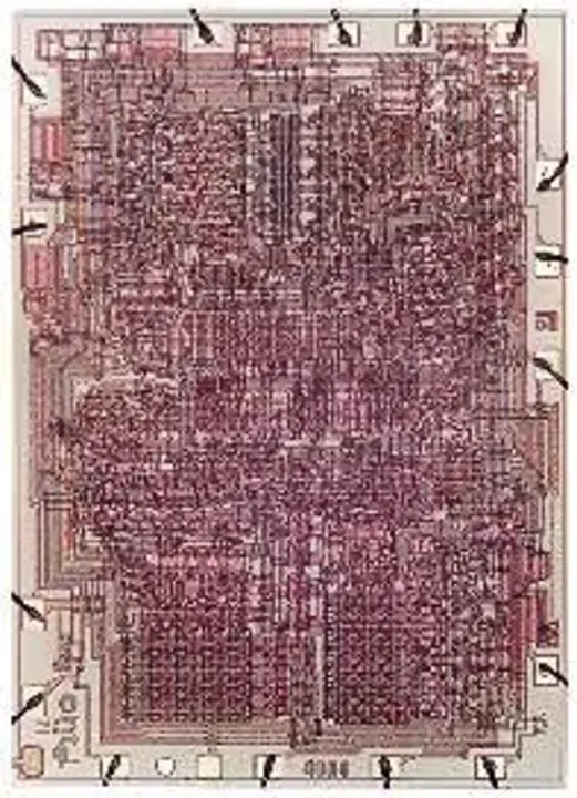 Processor Module : 处理器模块