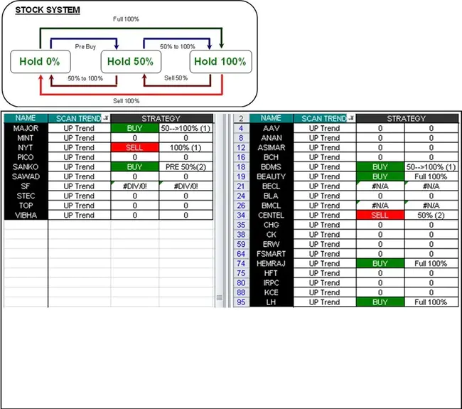 System Implementation Team : 系统实施团队