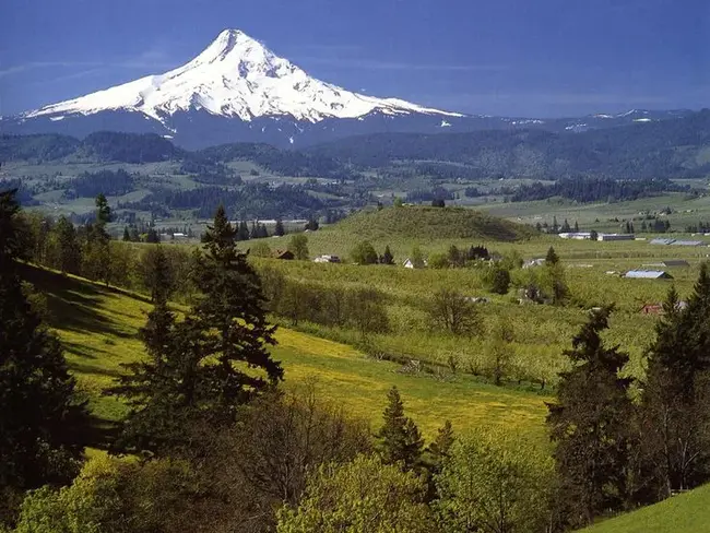 Mt. Hood Railroad Company : 胡德山铁路公司