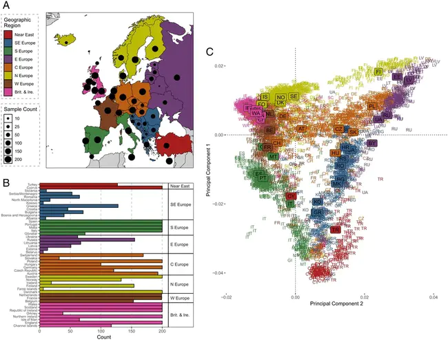 European Society of Human Genetics : 欧洲人类遗传学学会